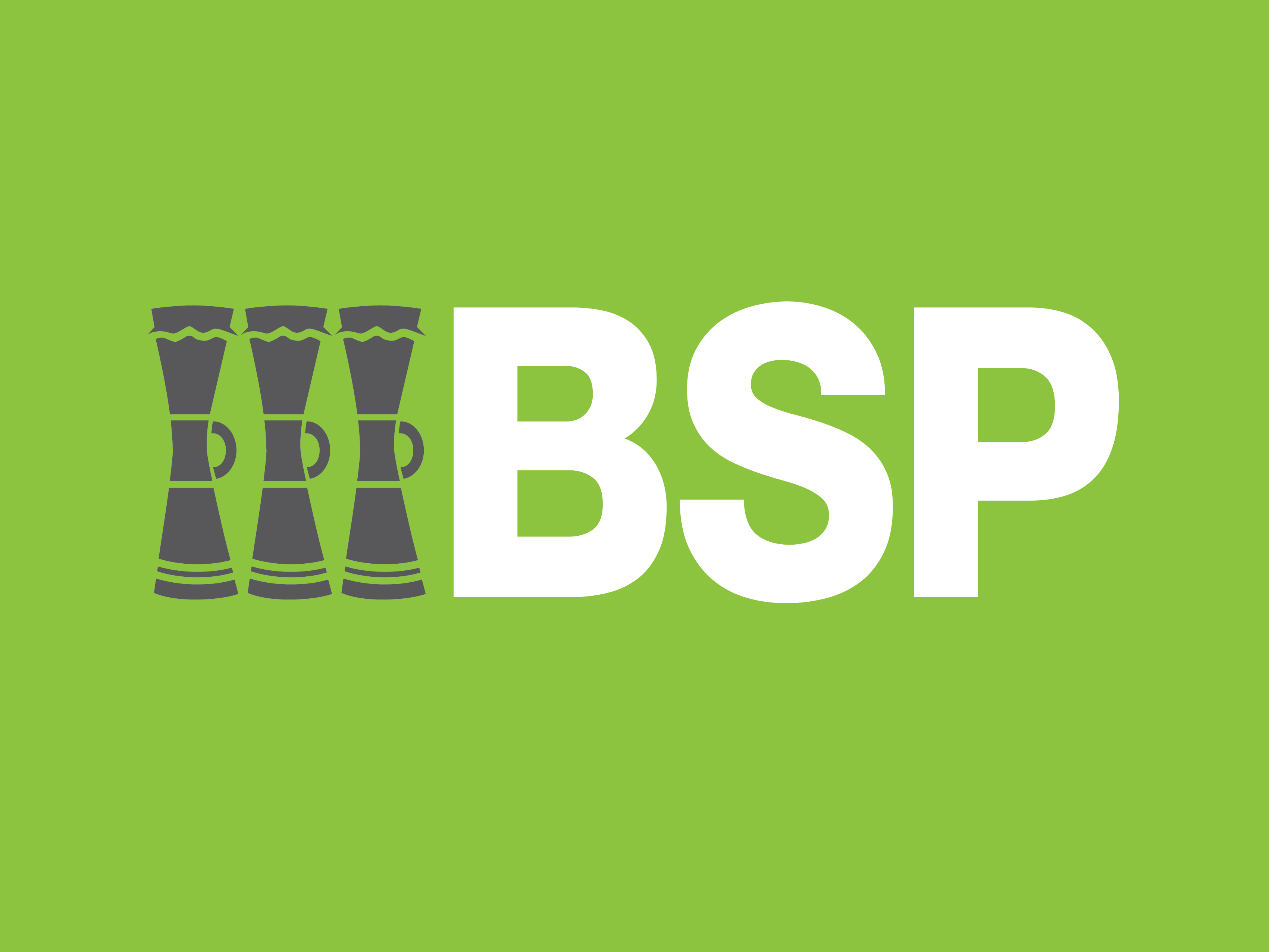 Logo BSP