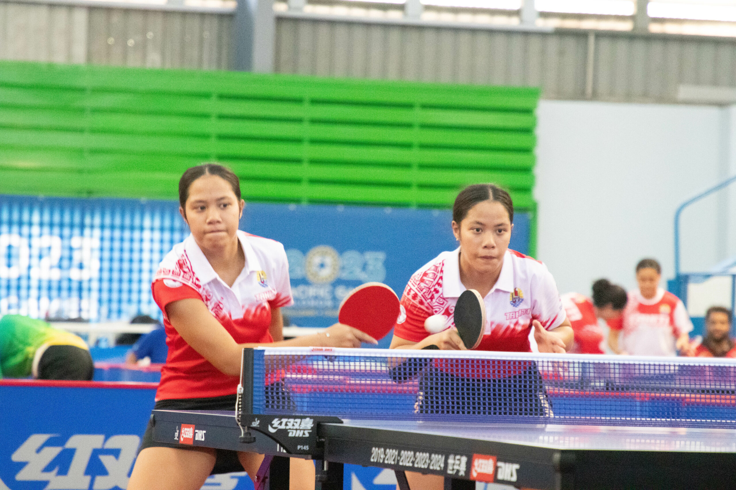 Twin sisters playing table tennis